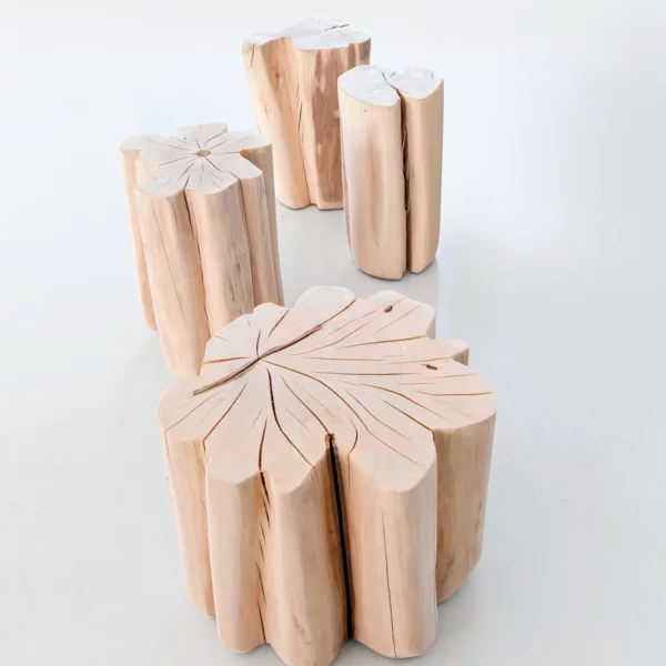 Mesitas Brick - imagen 7
