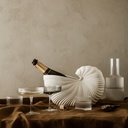 Maceta de conchas - imagen 3