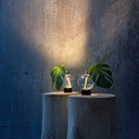 Bulbovaso LED - imagen 2