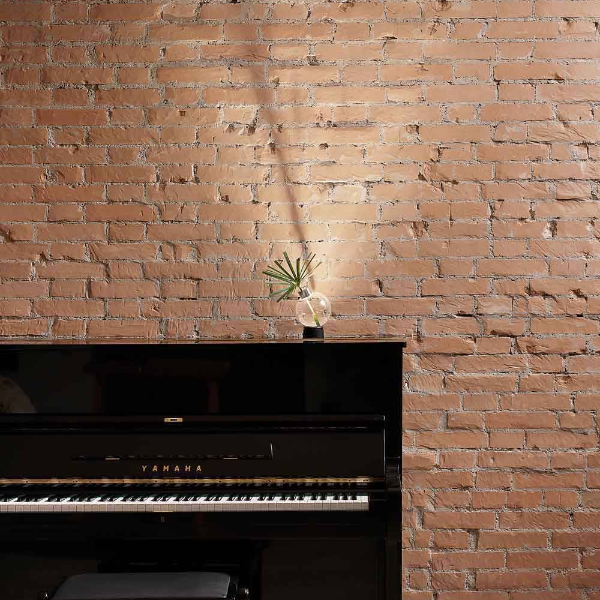 Bulbovaso LED - imagen 3