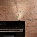 Bulbovaso LED - imagen 3