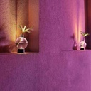 Bulbovaso LED - imagen 4