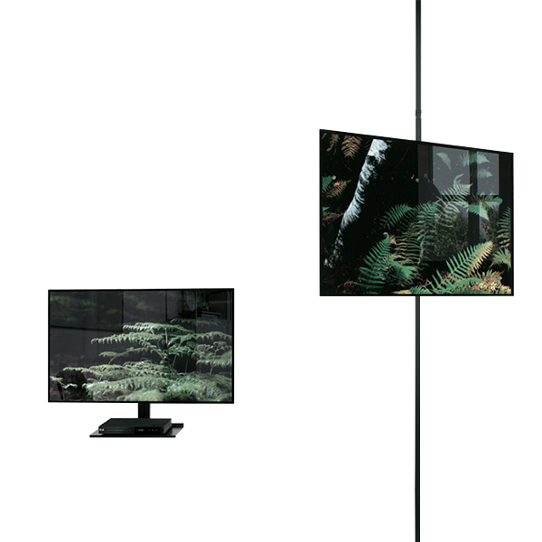 55/Sistema Multimedia