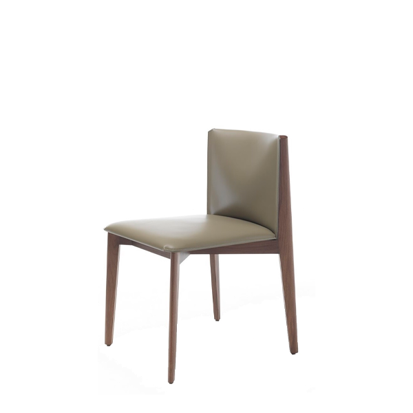 Silla Ionis